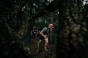 BIB: 
                            <button type="button" onclick="openModal(25677381)" class="btn btn-primary btn-sm float-right btn-popup" data-toggle="modal" data-target=".modal-high-quality">
                        <i class="fas fa-shopping-cart"></i> Add to Cart
                    </button>
                                            <button type="button" onclick="isThisMe(25677381, true)" class="btn btn-success btn-sm float-right btn-popup btn-isme hidden" data-toggle="tooltip" data-placement="bottom" title="นี่คือรูปของคุณใช่ไหม คลิกที่นี่เพื่อเอาเข้าอัลบั้ม">
                        <i class="fas fa-plus"></i> Add to album
                    </button>
                    <button type="button" onclick="isThisMe(25677381, false)" class="btn btn-warning btn-sm float-right btn-popup btn-isnotme hidden">
                        <i class="fas fa-ban"></i> Remove from album
                    </button>